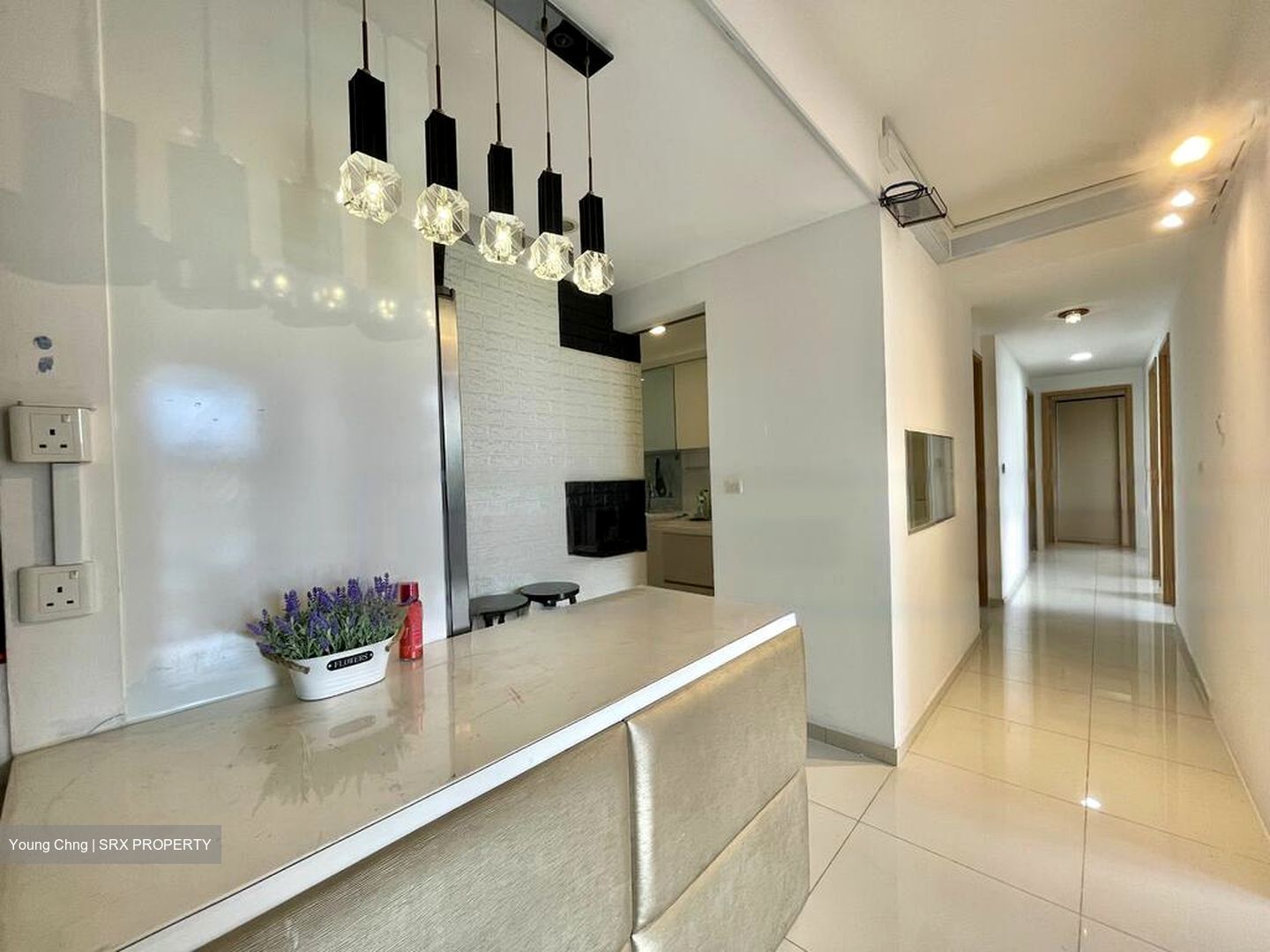 Oasis @ Elias (D18), Condominium #562537431